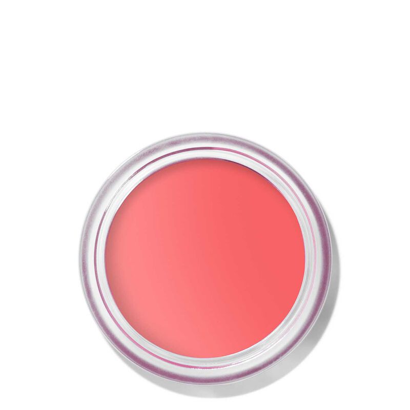 Bobbi Brown Pot Rogue Velvet Matte image number 16